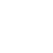 Botaslogo